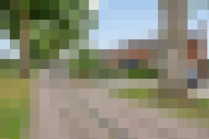 Gondalaan 50 Goor thumbnail 7