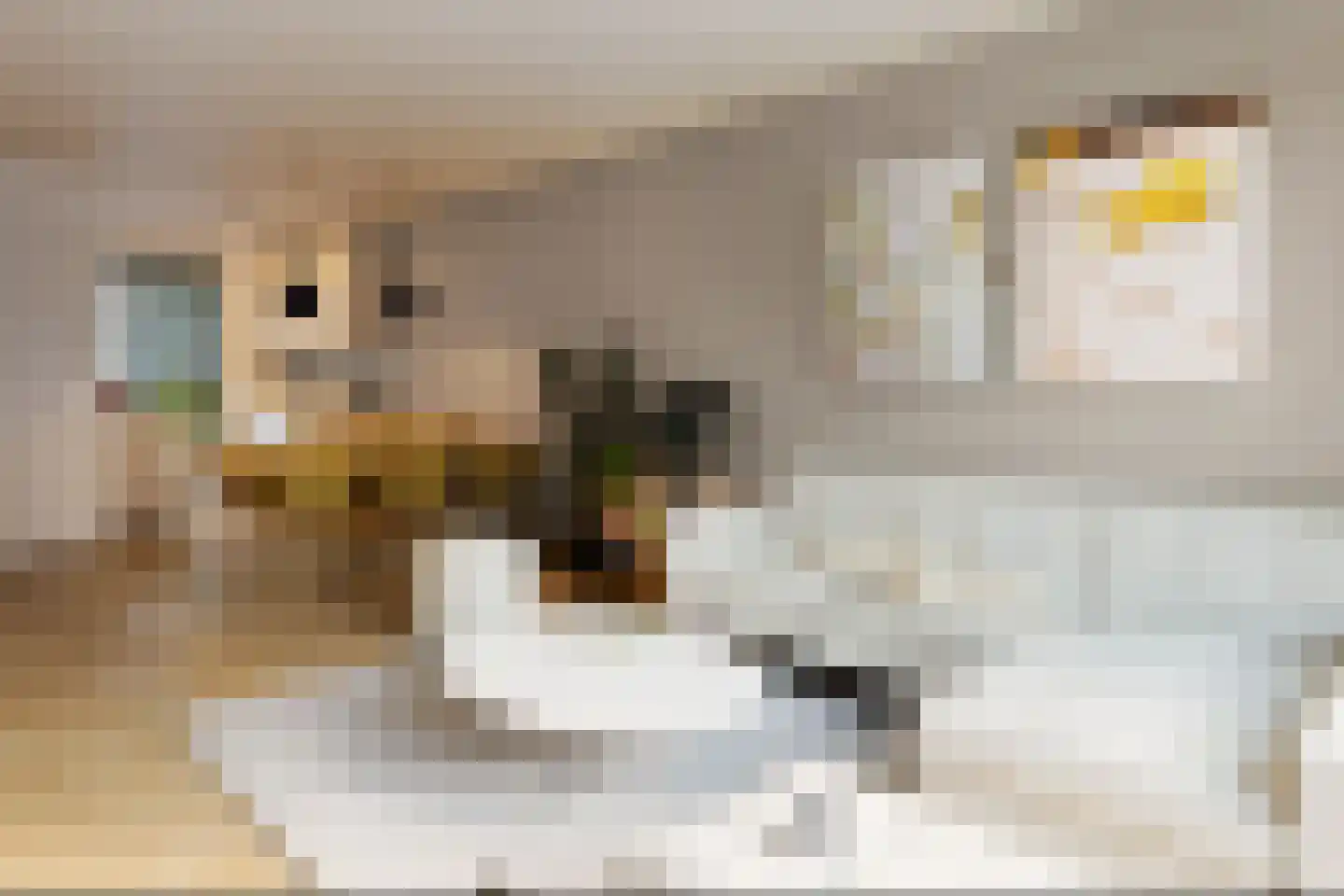 Gondelstraat 7 Tilburg thumbnail 10