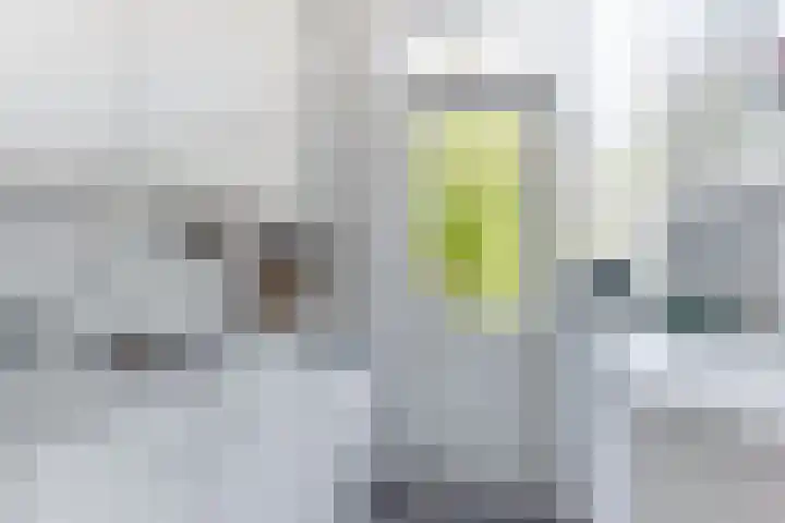 Goodeslaan 24 Heiloo thumbnail 12