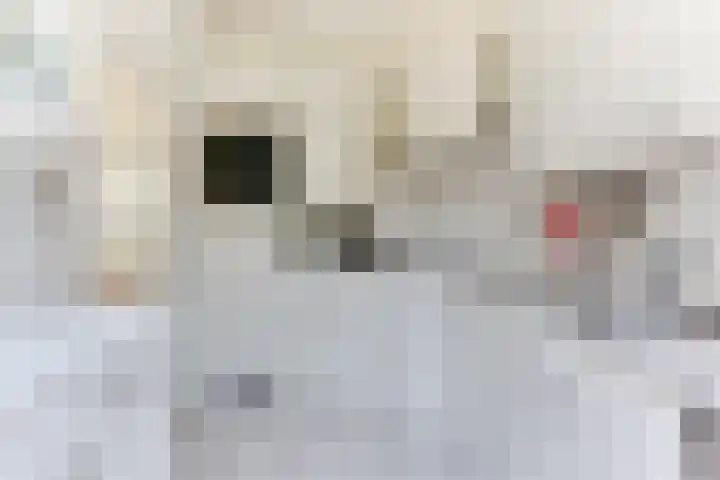 Goodeslaan 24 Heiloo thumbnail 13