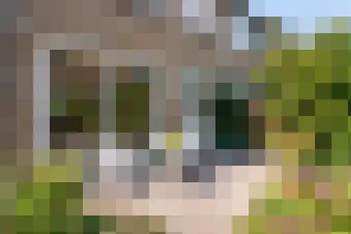 Goodeslaan 24 Heiloo thumbnail 26