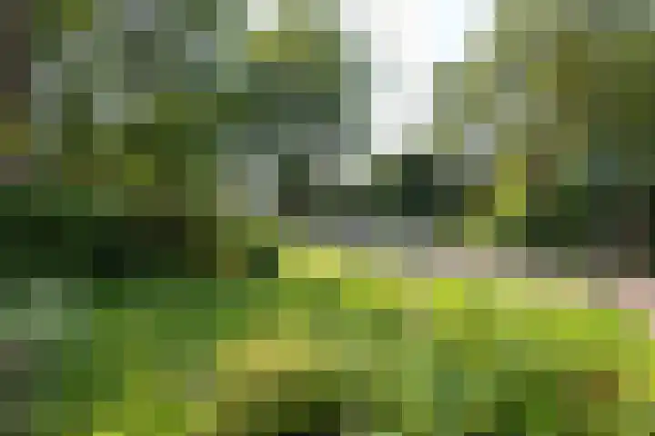 Goodeslaan 24 Heiloo thumbnail 33