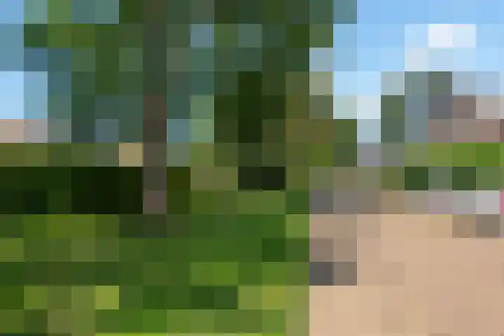 Goodeslaan 24 Heiloo thumbnail 36