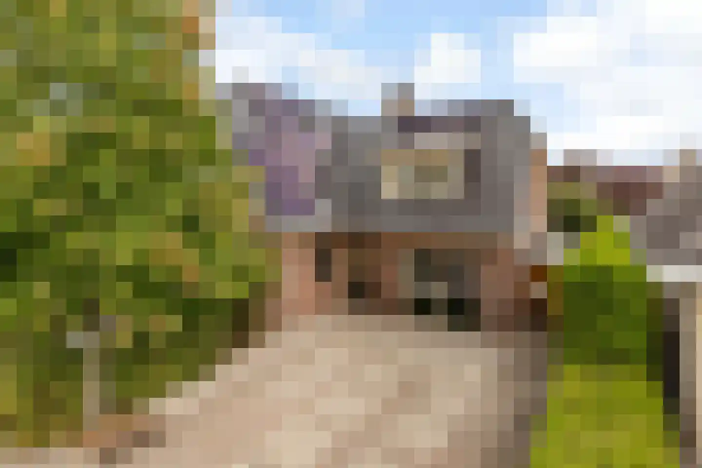 Goofystraat 12 Almere thumbnail 59