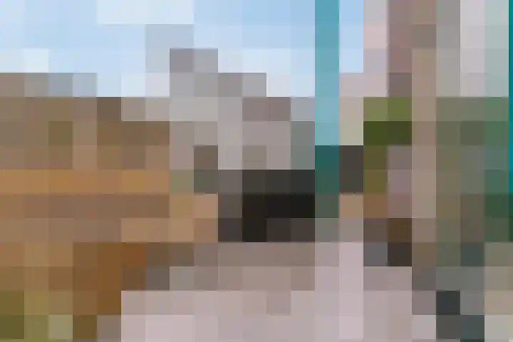 Gooimeer 97 Purmerend thumbnail 17