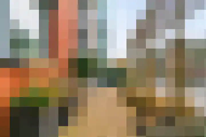 Gooimeer 97 Purmerend thumbnail 5