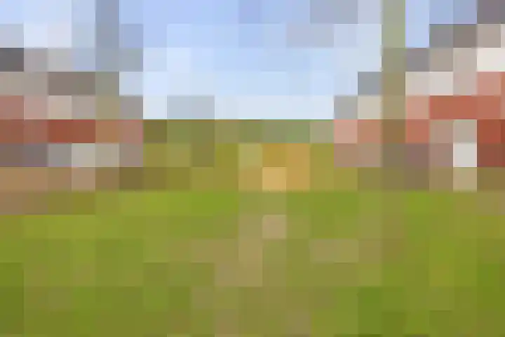 Gooise Kant 85 Amsterdam thumbnail 34