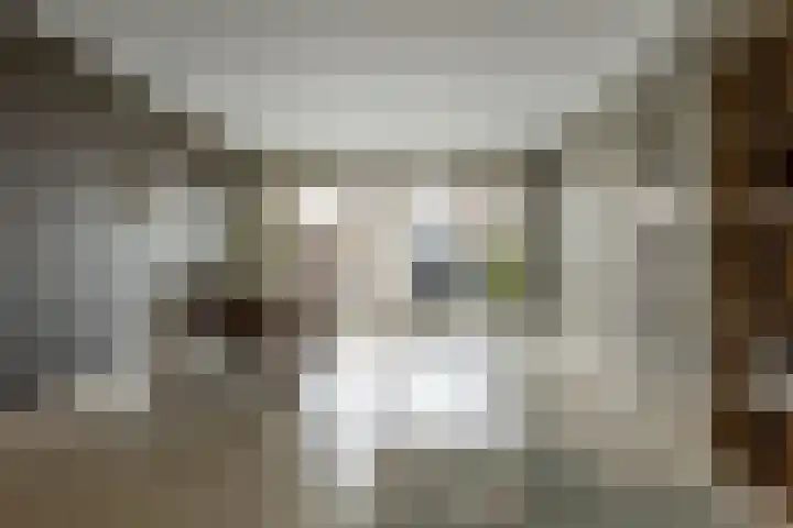 Gooisehof 10 Helmond thumbnail 8