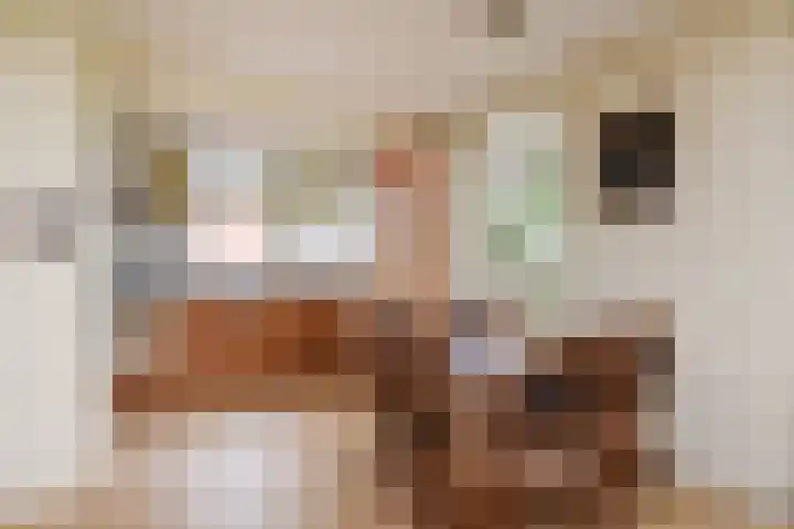 Gooland 3 Nootdorp thumbnail 13