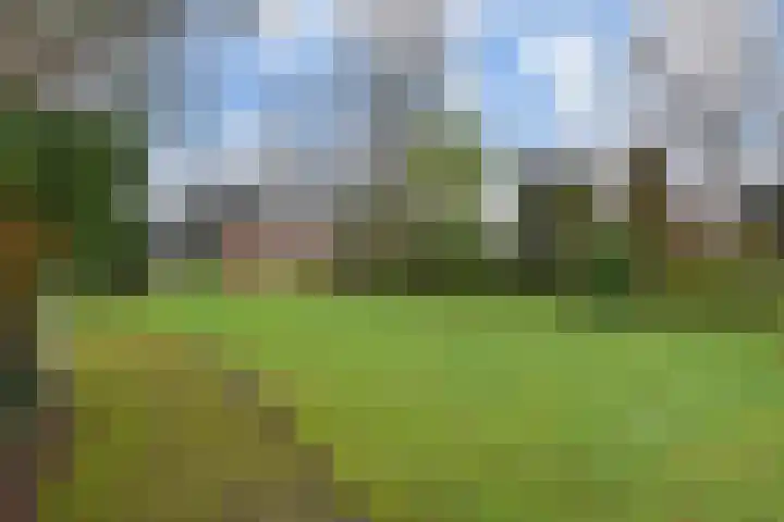 Gooland 3 Nootdorp thumbnail 31