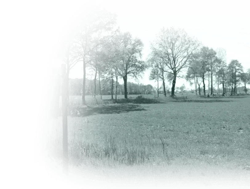 Photo d'équipe de Goorhuis Makelaardij