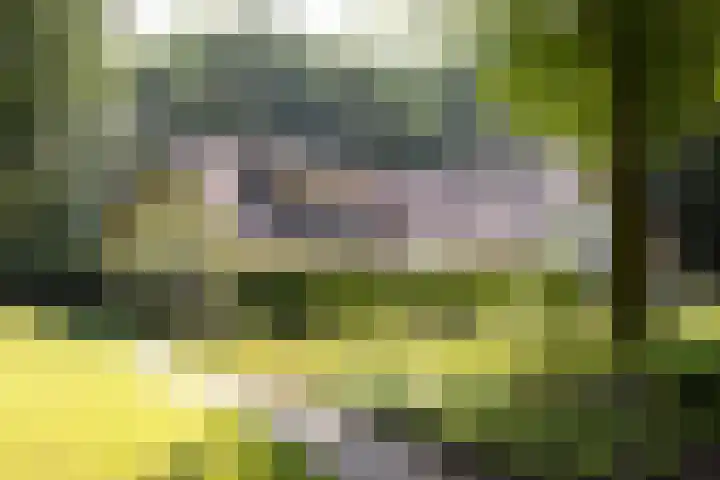 Goorsteeg 102 Ede thumbnail 47