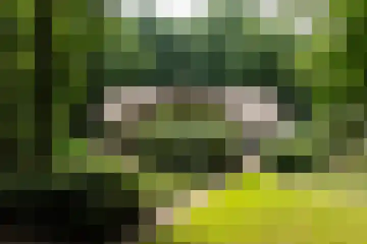Goorsteeg 102 Ede thumbnail 52