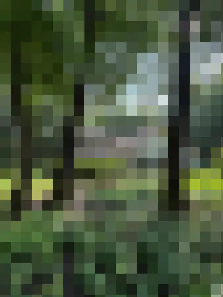 Goorsteeg 102 Ede thumbnail 54