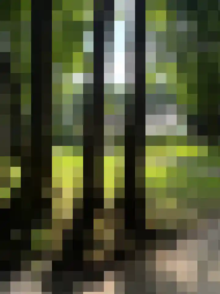 Goorsteeg 102 Ede thumbnail 55