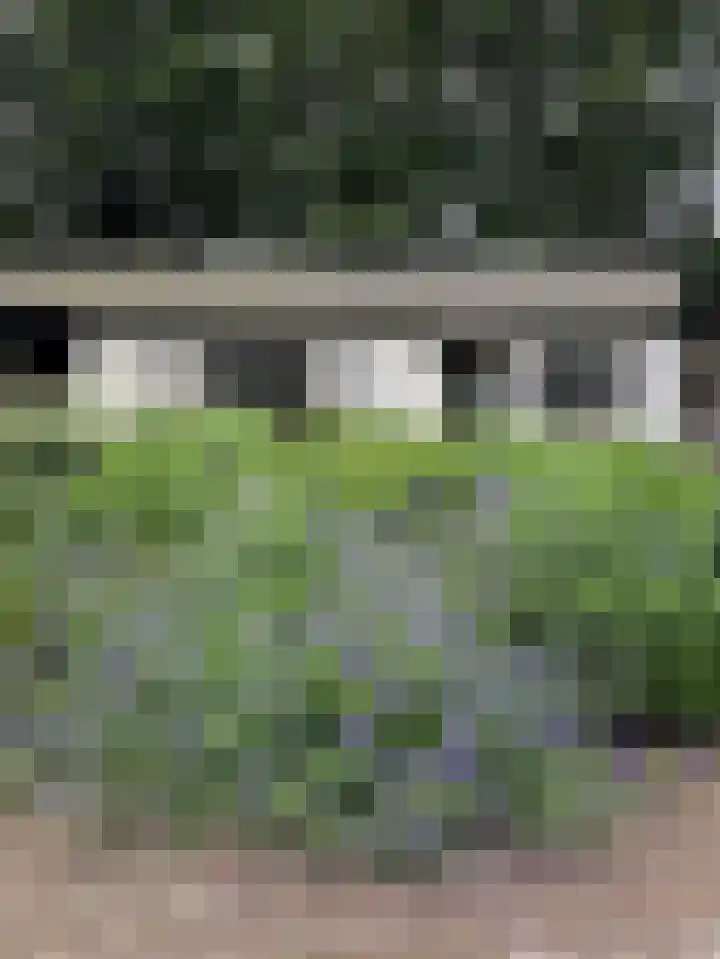 Goorsteeg 102 Ede thumbnail 57