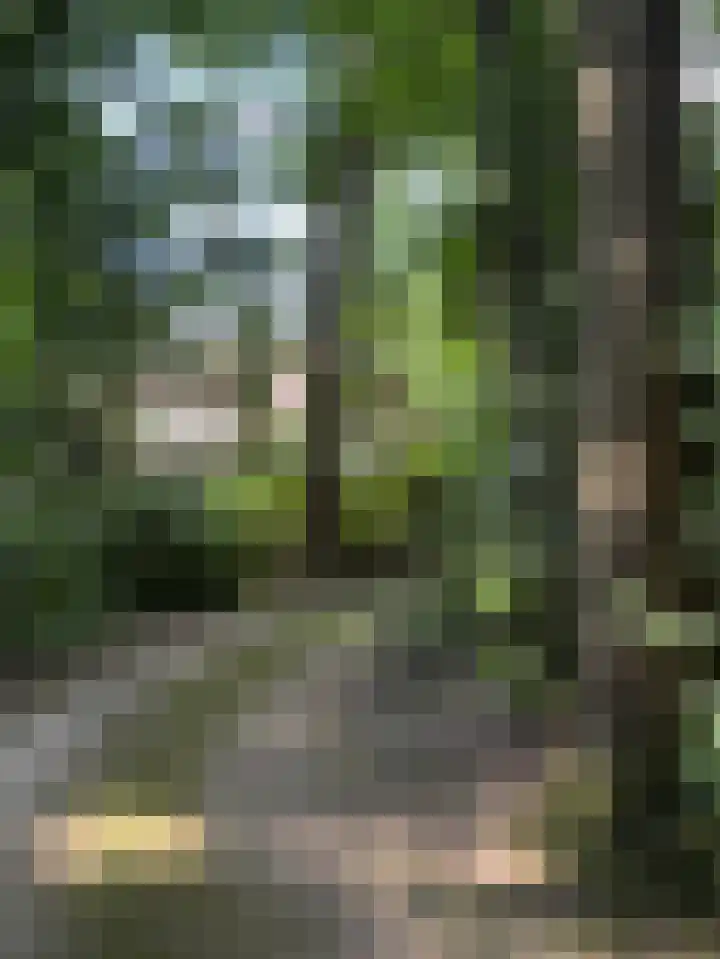 Goorsteeg 102 Ede thumbnail 87