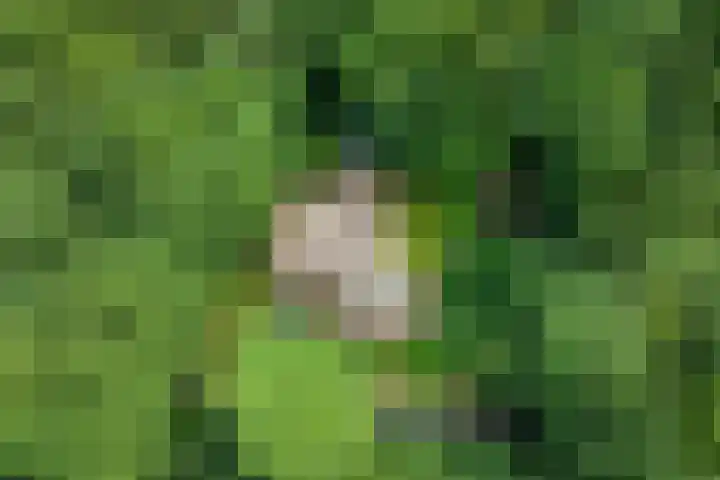 Goorsteeg 102 Ede thumbnail 91