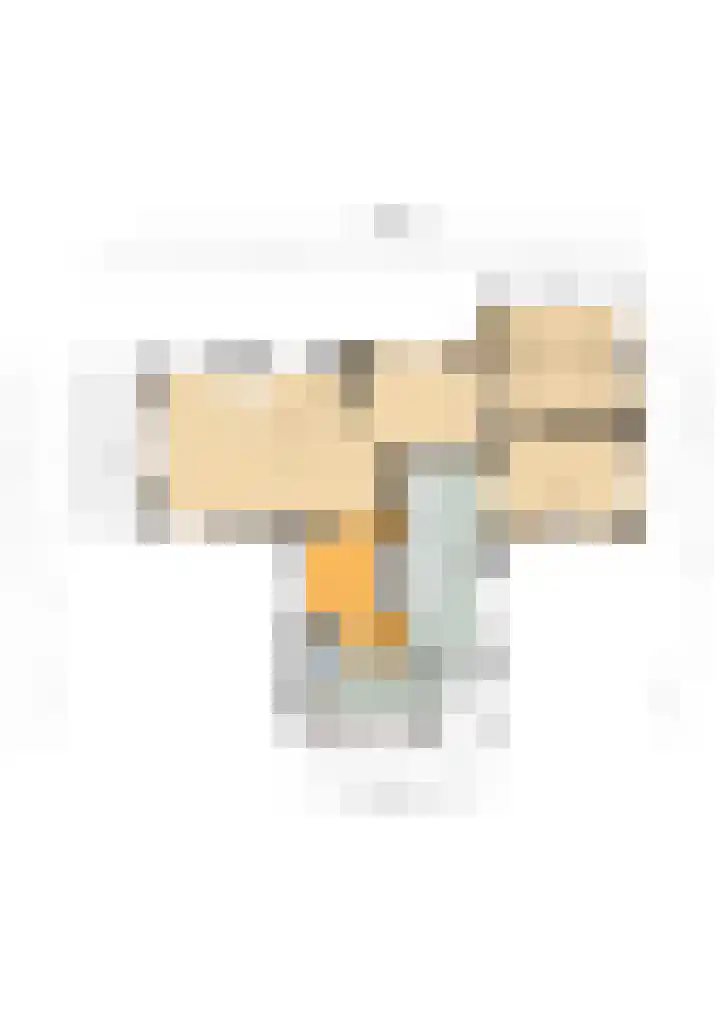 Goorsteeg 102 Ede thumbnail 93