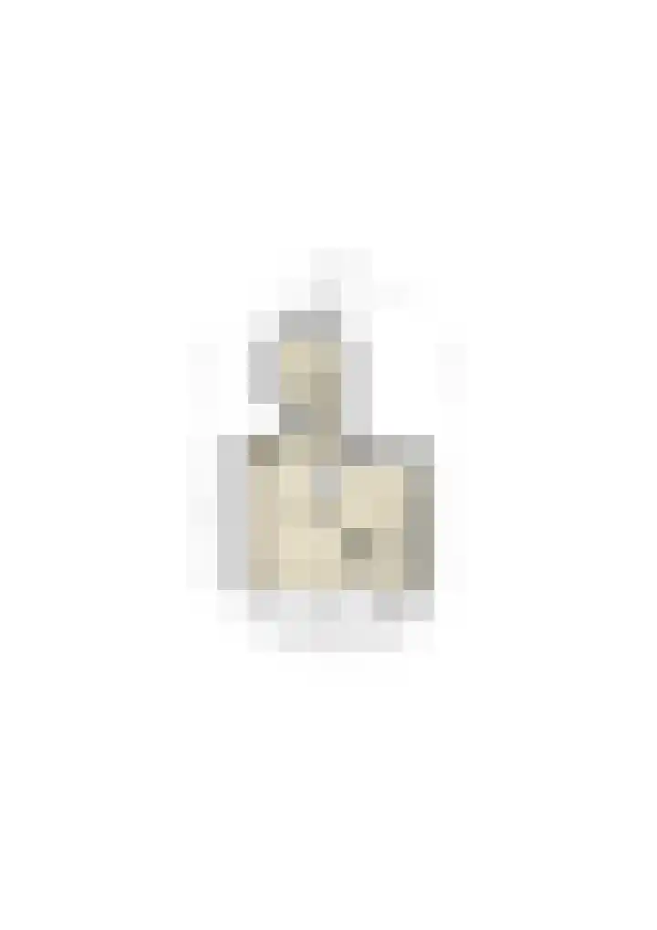 Goorsteeg 102 Ede thumbnail 98