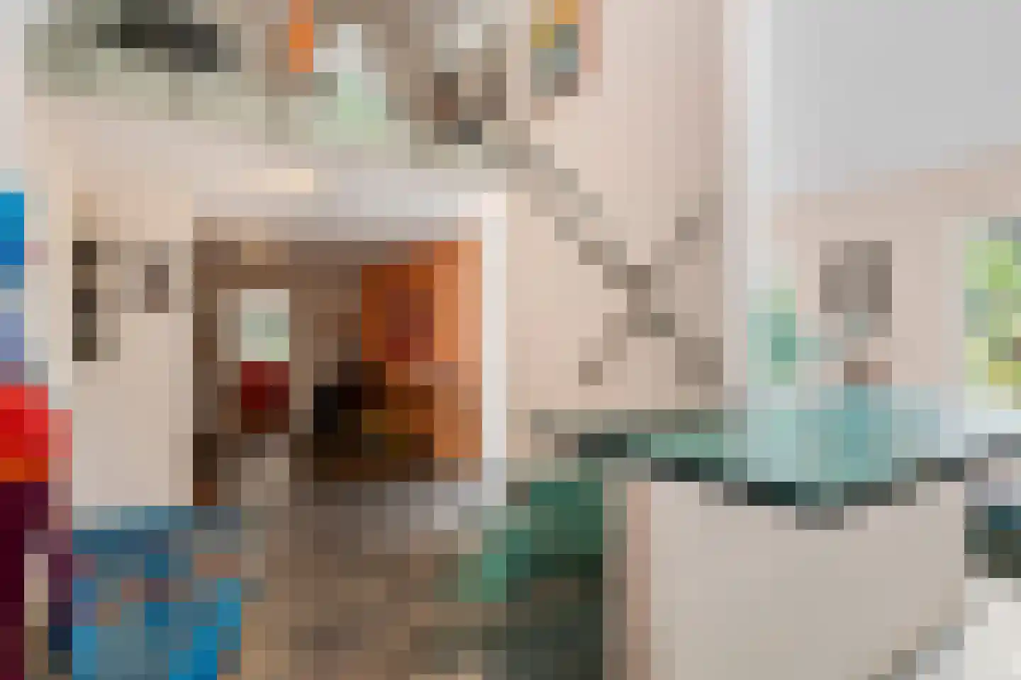 Goorsteeg 90 Ede thumbnail 18