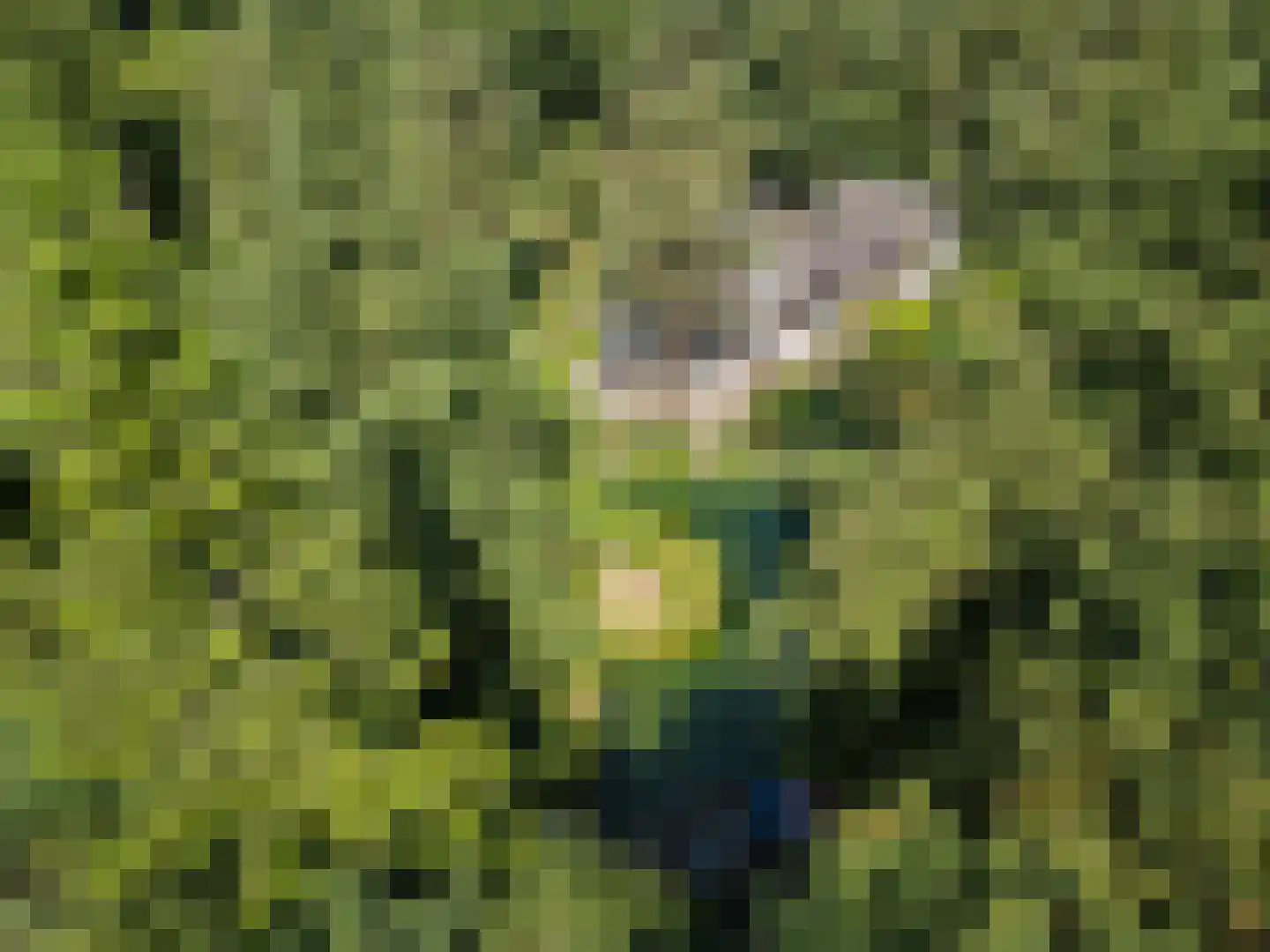 Goorsteeg 90 Ede thumbnail 5