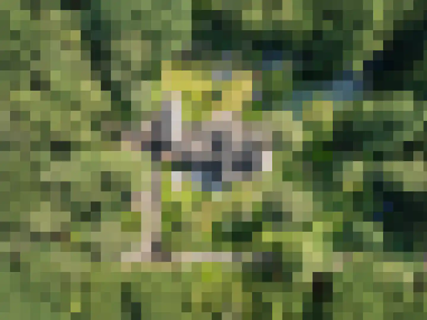Goorsteeg 90 Ede thumbnail 7