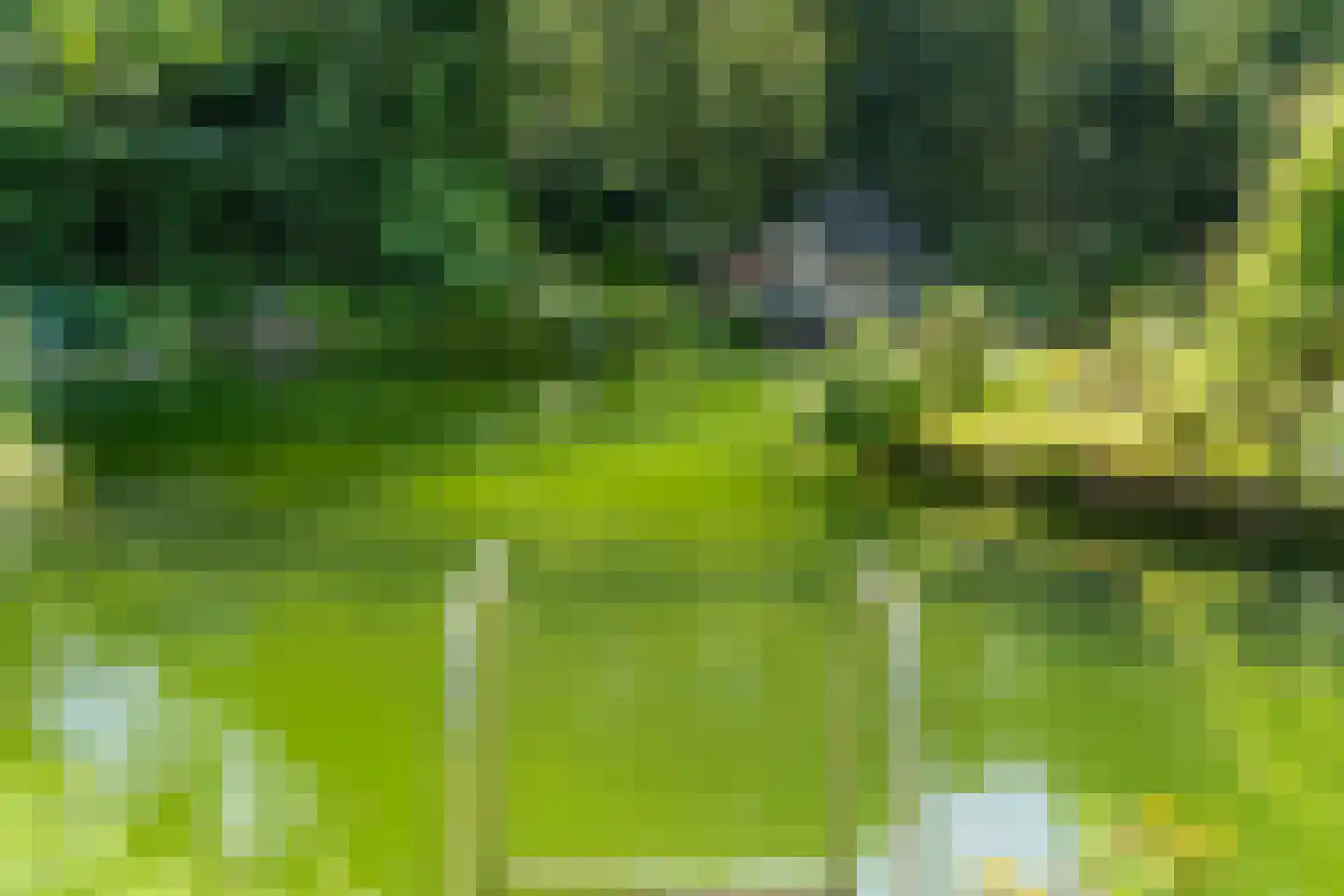 Goorsteeg 90 Ede thumbnail 90