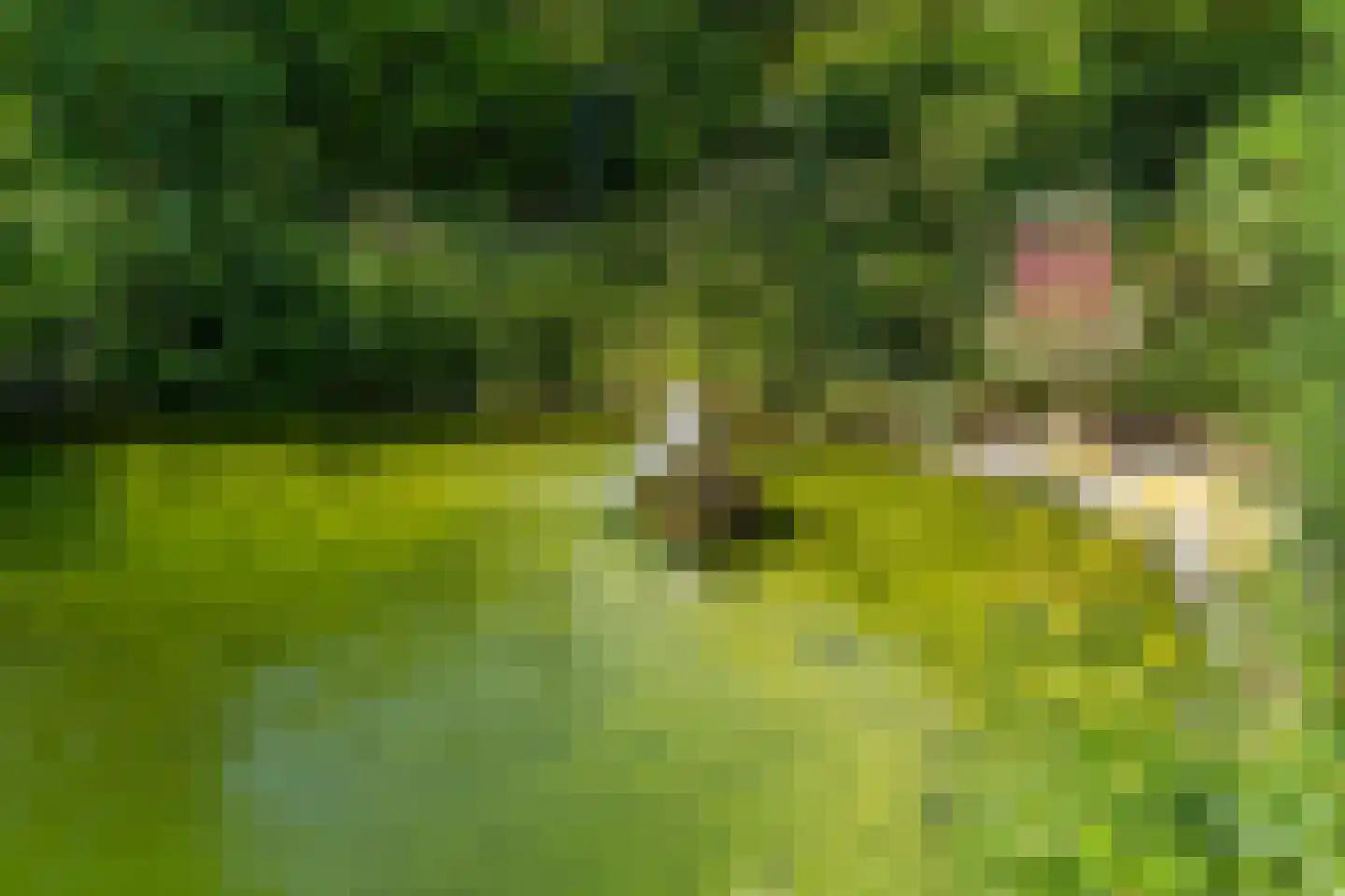 Goorsteeg 90 Ede thumbnail 92