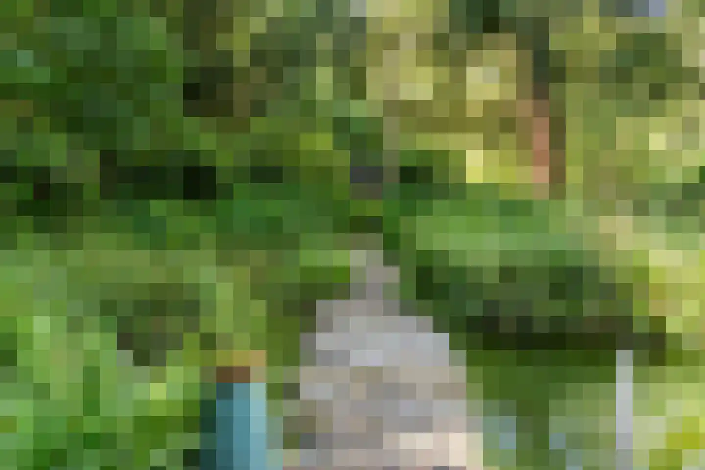 Goorsteeg 90 Ede thumbnail 95