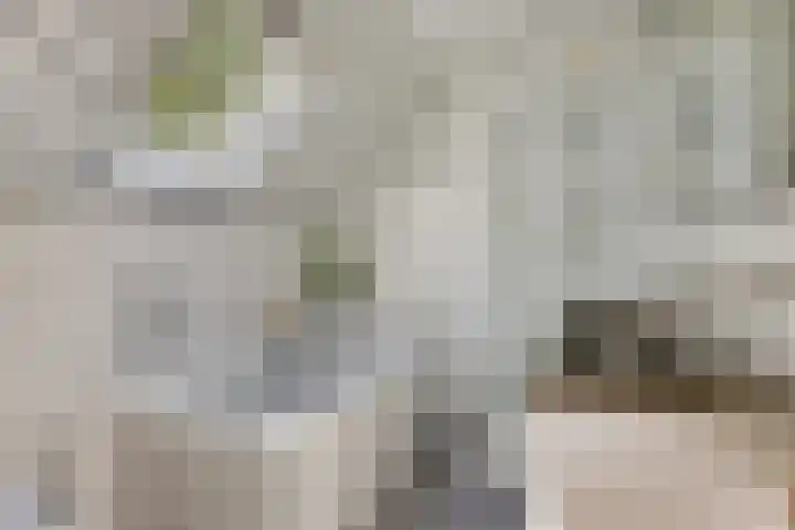 Goorstraat 15 Heesch thumbnail 17