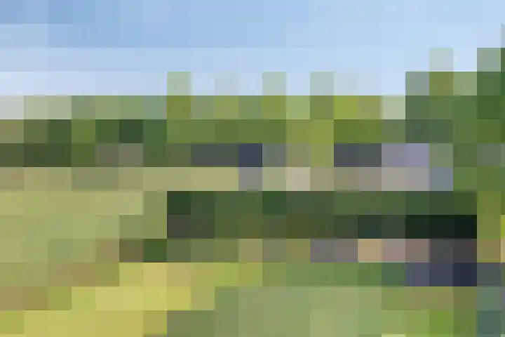 Goorstraat 15 Heesch thumbnail 31