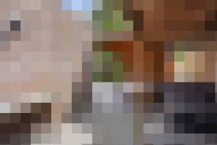 Goorstraat 15 Heesch thumbnail 32