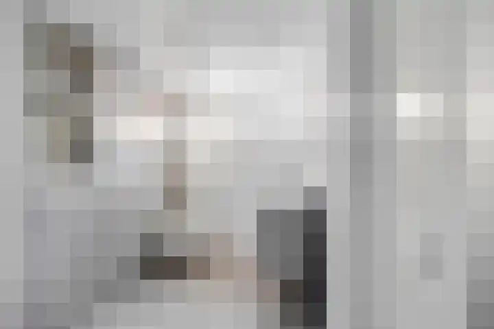 Gootepad 5 Brielle thumbnail 4