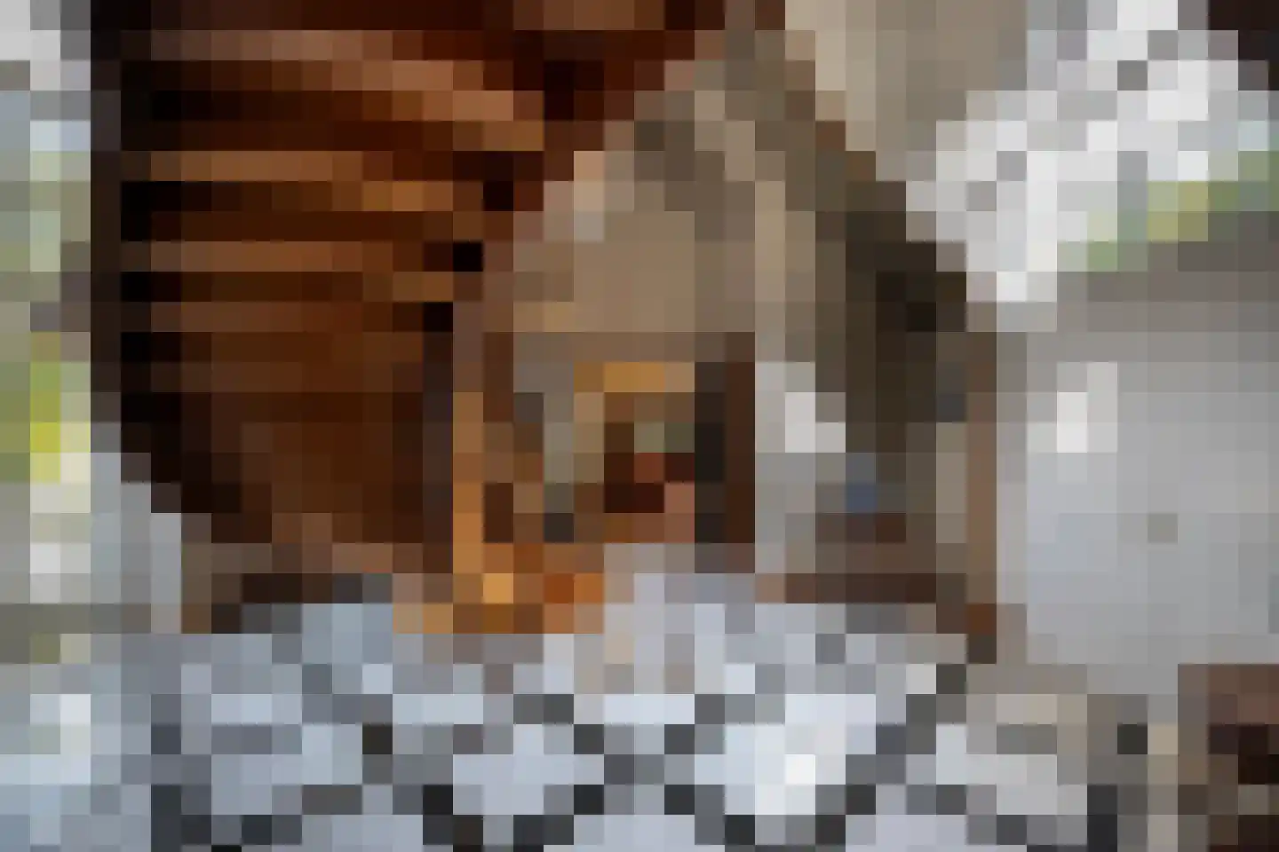 Gooyerdijk 18 Leersum thumbnail 12
