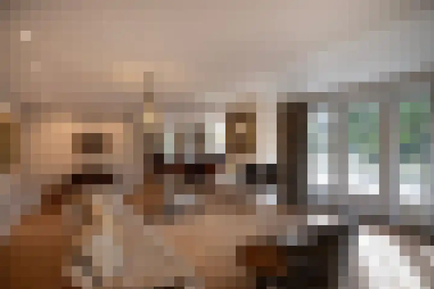 Gooyerdijk 18 Leersum thumbnail 20