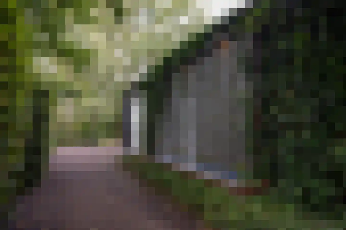 Gooyerdijk 18 Leersum thumbnail 32