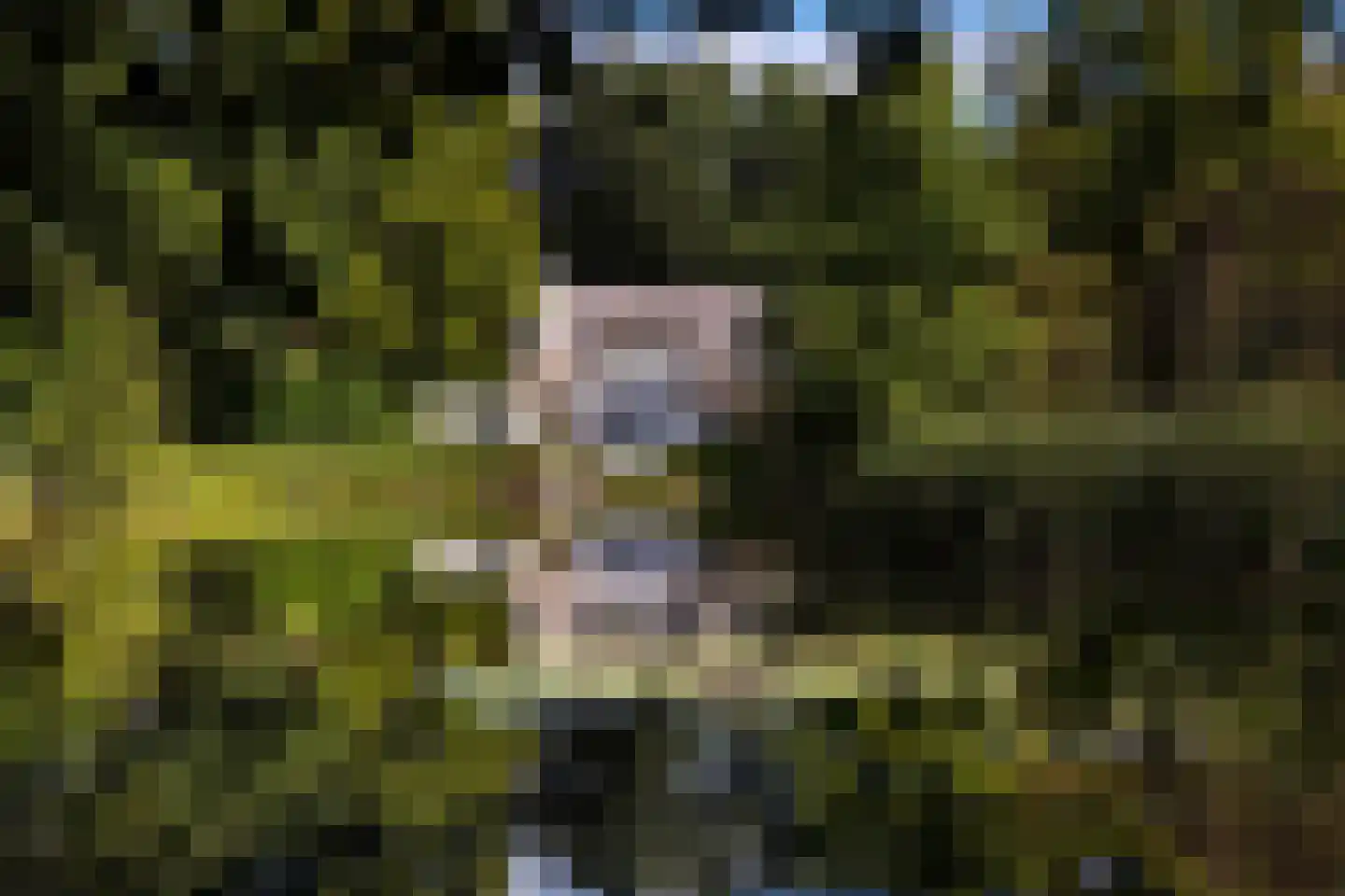 Gooyerdijk 18 Leersum thumbnail 4