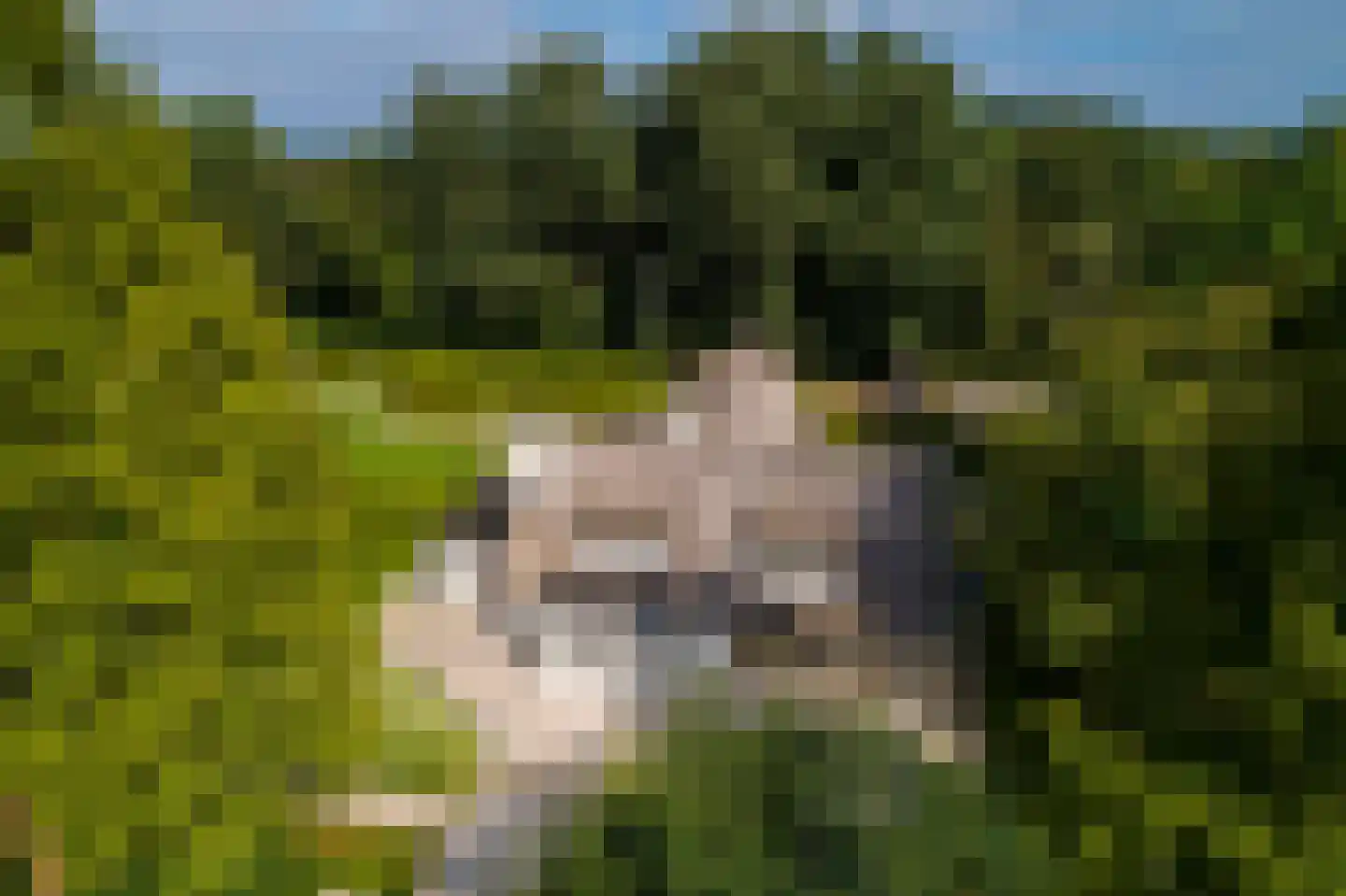 Gooyerdijk 18 Leersum thumbnail 5