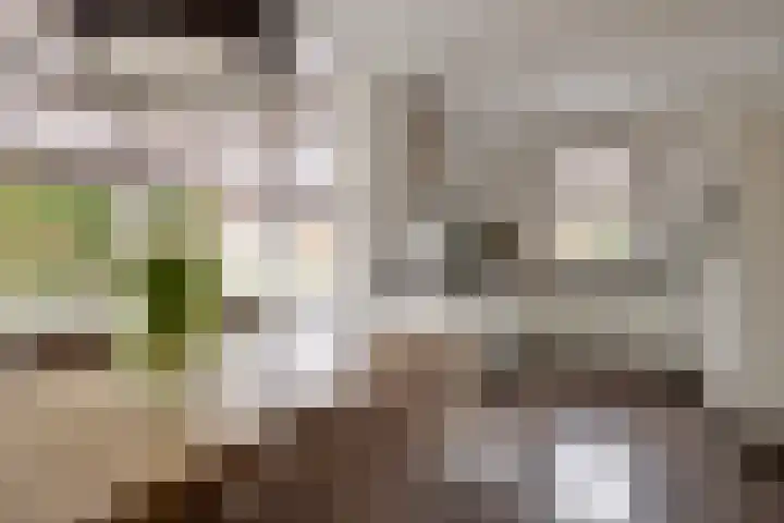 Gording 44 Uden thumbnail 15