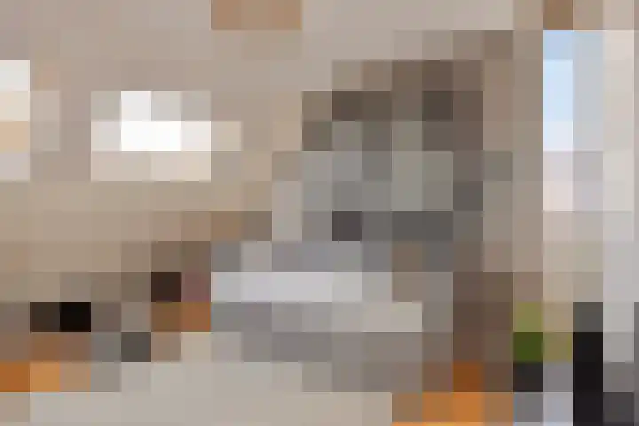 Gording 44 Uden thumbnail 33