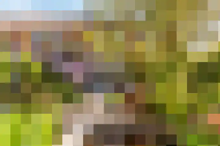 Gording 48 Hoorn thumbnail 34
