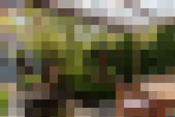 Gording 48 Hoorn thumbnail 35