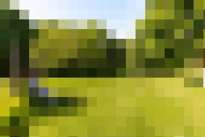 Gording 48 Hoorn thumbnail 43