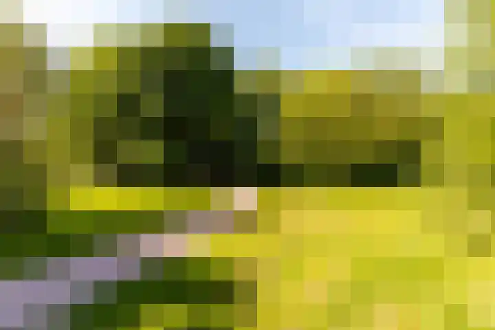 Gording 48 Hoorn thumbnail 44