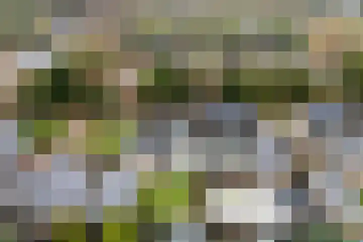 Goren 4 Schoonebeek thumbnail 11