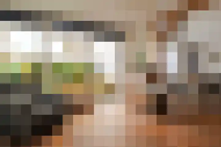 Goren 4 Schoonebeek thumbnail 20