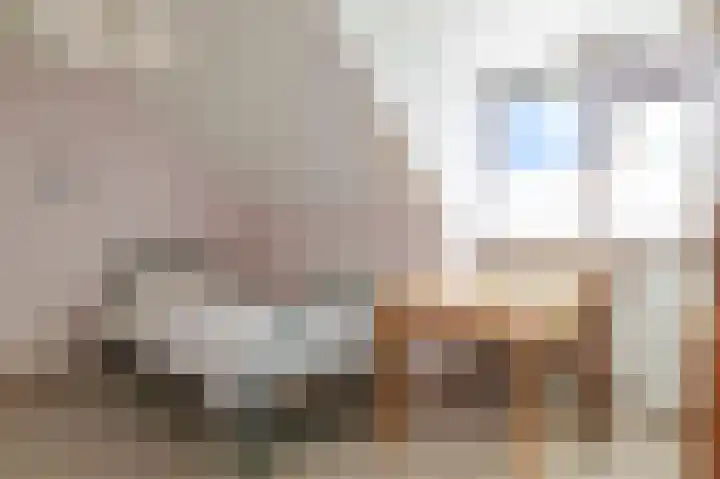 Goren 4 Schoonebeek thumbnail 31