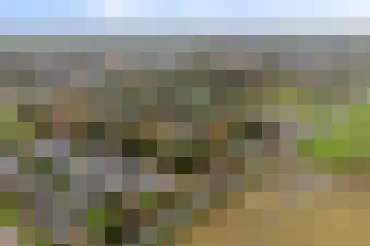 Goren 4 Schoonebeek thumbnail 41
