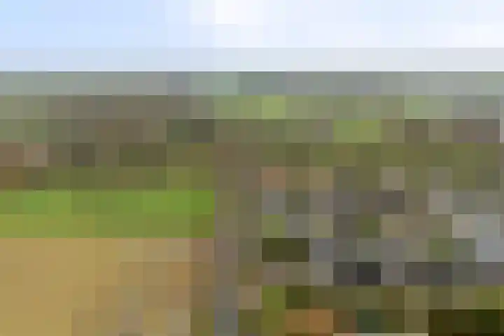 Goren 4 Schoonebeek thumbnail 42